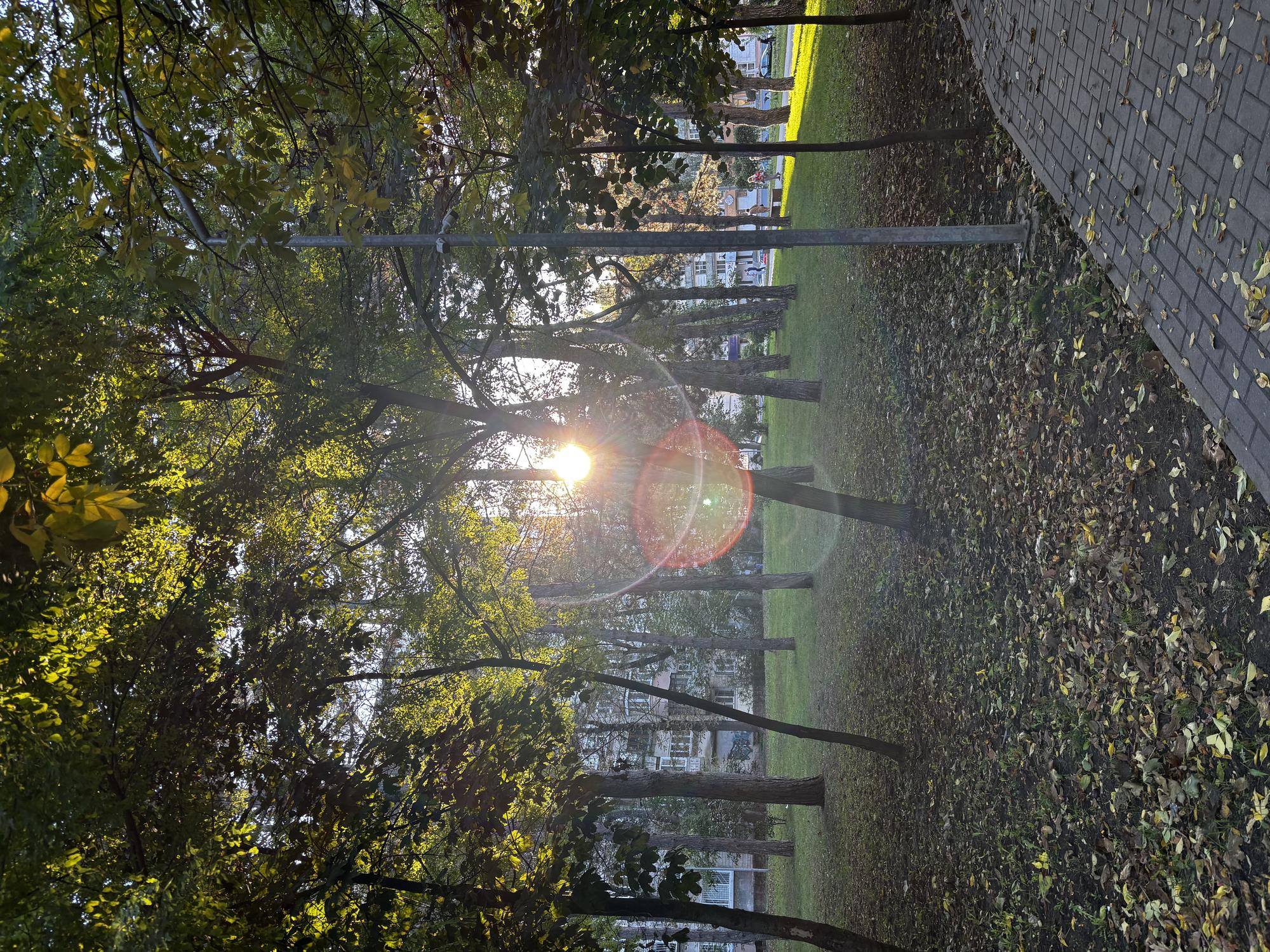 Иван Петров